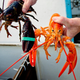 Image for article titled Are Orange Lobsters As Rare As We Think?